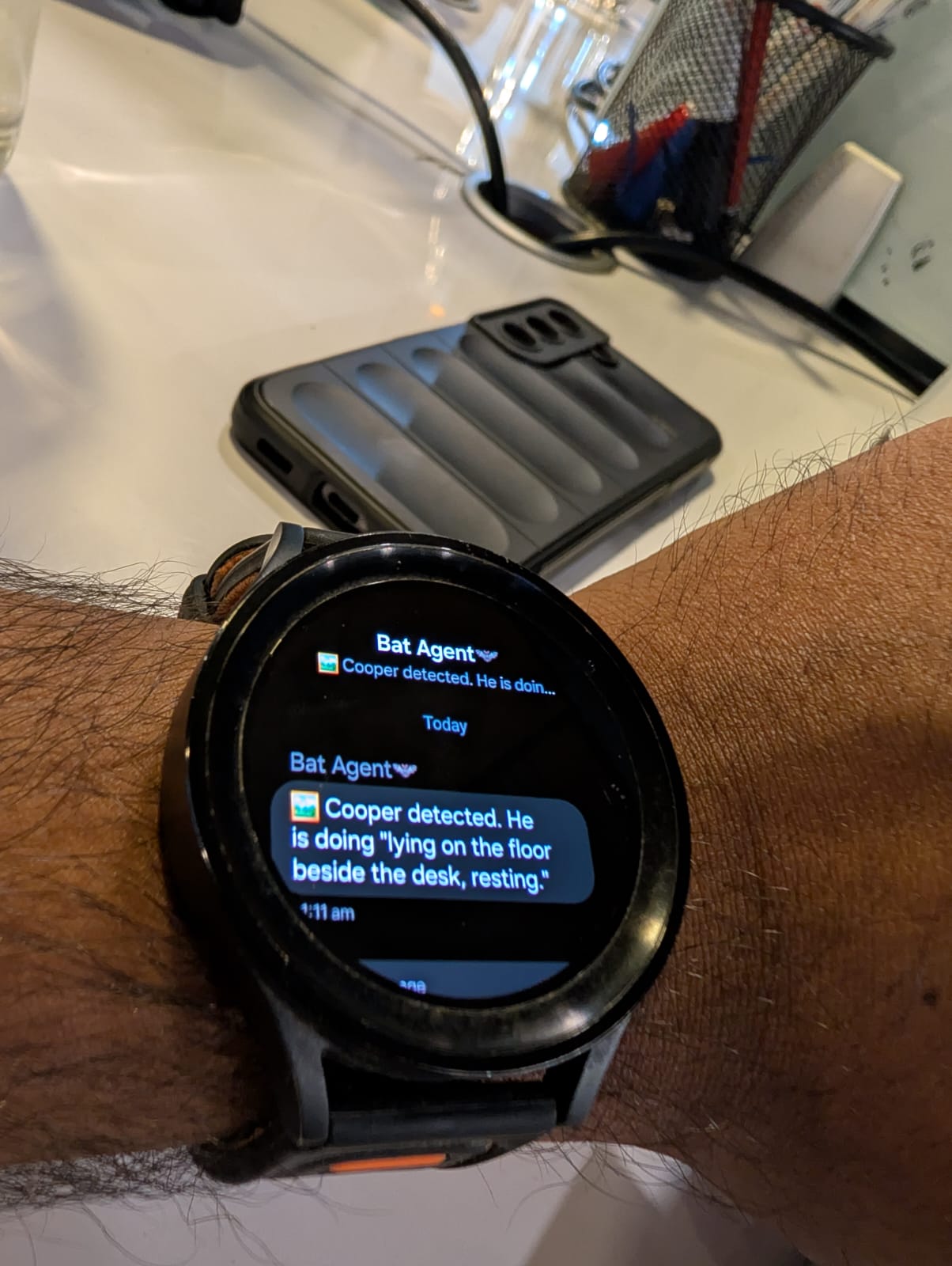 Cooper resting while being monitored by the personal AI assistant
